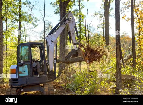 skid steer clearing land